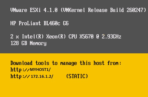 vSphere ESXi 4.1.0 home screen showing version and build numbers.